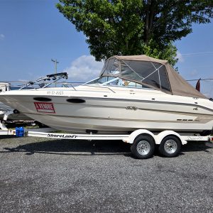Bateau Searay Weekender