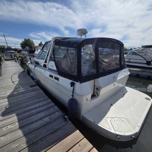 Bateau Searay Weekender 300
