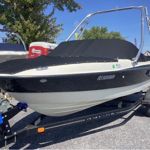 Bateau Bayliner 185 2010